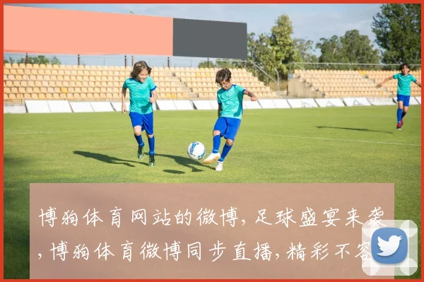 博狗体育网站的微博,足球盛宴来袭,博狗体育微博同步直播,精彩不容错过